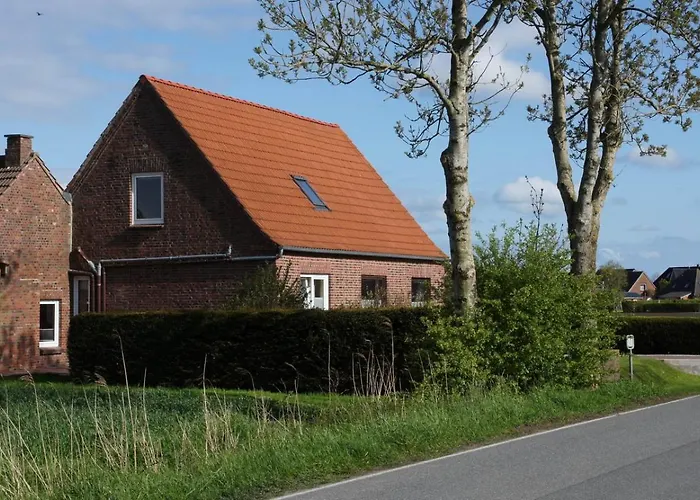 Sutter Lejlighed Nordstrand